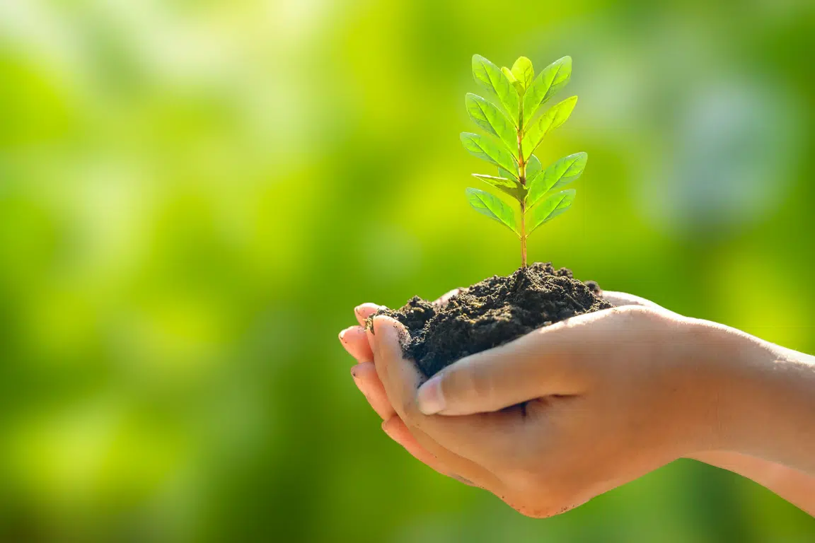 Sustainability image